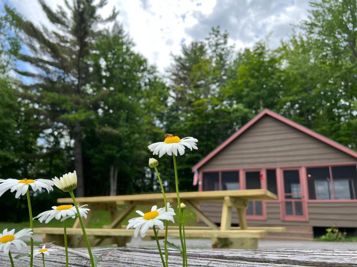 Adirondack Lake Cabins Hotel Indian Lake Eksteriør billede